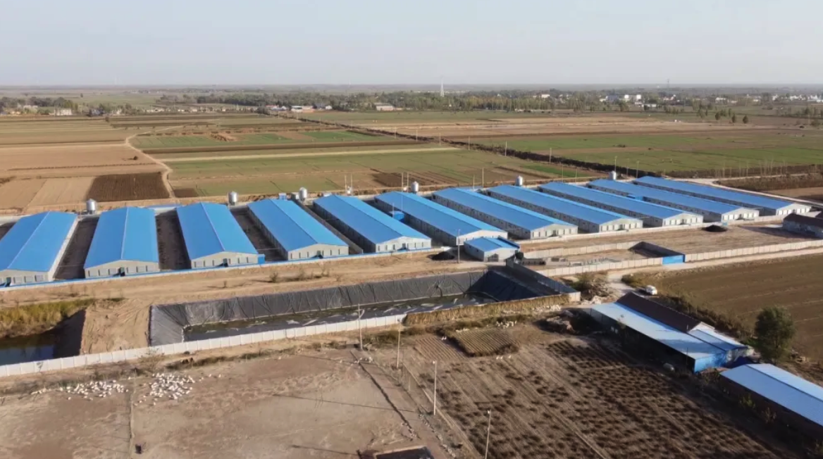  這幾類集體土地遇到征收，這些關(guān)鍵點(diǎn)一定要關(guān)注！ 