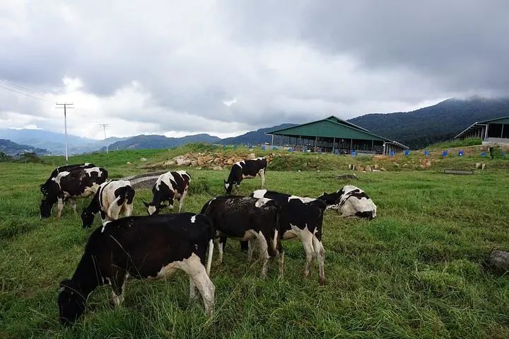 養(yǎng)殖場(chǎng)被強(qiáng)拆權(quán)益受損，圣運(yùn)律師助力勝訴維權(quán)！